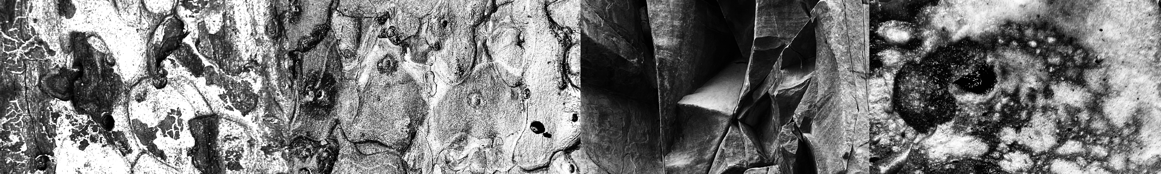 HIDDEN IN NATURE banner